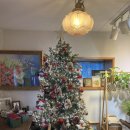 스텔라의 행복정원 이미지