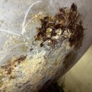 우창모텔 이미지