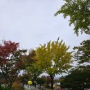 통일전 | 경주 가볼만한 곳 단풍 구경하러 갔던 통일전 방문후기