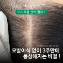 모뜰리에