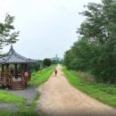 생태와대구 이미지