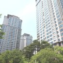 잠원로(남측) 이미지