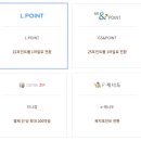 아시아나항공_PAYCO