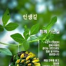 남한산성 도립공원 ㅡ 유네스코 세계문화유산ㅡ과거 한양을 지키던4대 요새 중 하나인 ㅡ성남 누비길 남한산성 남문 ㅡ남한산성 수어장대 남한 이미지