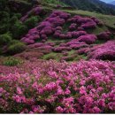 병점2동주민센터 2층 이미지