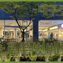 신평동1123 이미지