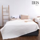 아이리스 이미지