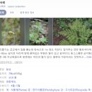 상망제1소교량 | [공지] [특집] 🌟젤리 전문가 피셜 이상한 하리보 나라의 TOP 5🌟