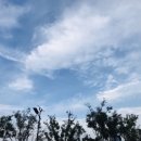 단계 당구장 이미지