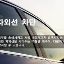 불당스팀