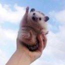 타란센터