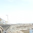 삼길포항 어촌마리나역 이미지