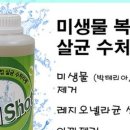 세스템 이미지