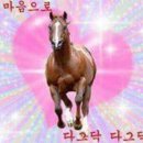 동백술집
