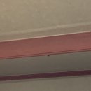 에덴파크텔 이미지