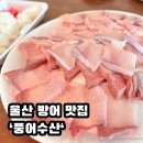 호텔소호102 | 울산 방어 맛집 '풍어수산' 삼산동 5만원 포장 추천 후기