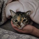 공주시이인면보건지소 | [일상] 25 OCT② 눕눕과 먹덧