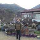 카사벨라 이미지