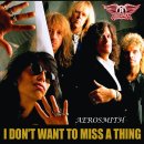 I Don`t Want to miss a thing / song by Aerosmith 이미지