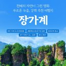 신세계여행사 이미지