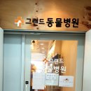 그랜드 동물병원 이미지