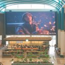 스타벅스 동부산테마파크 이미지