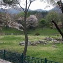 미륵원지 이미지