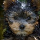 KS 행정사 사무소 이미지