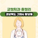 이지웰치과의원 | 경상북도 구미시 황상동 교정치과 총정리