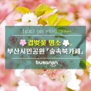 부산시민공원 숲속북카페 이미지