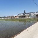 선원면-1 이미지