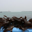 (유)동부자원환경 이미지