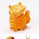 봄나들이 도시락 만들기 이미지