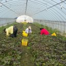 오덕농장 이미지