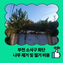 은성로68번길 | 부천 소사구 화단 나무 제거 및 철거 비용