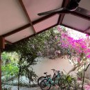 P-5715 | 발리여행기3 - 길리섬 2,3일차 까사보니따(Casa Bonita) 거북이 보기 , 전기스쿠터 , 마사지 , 수미사테...