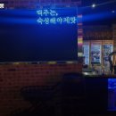 봄자싸롱