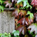 설악블루밍힐 이미지