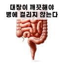 대장이 깨끗해야 병에 걸리지 않는다 이미지