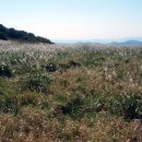 털보산장 이미지