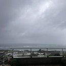 주주비 | 츄라우미 수족관 비오는날 후기 ☔ | 19개월 아기랑 가도 괜찮을까? 현실 후기