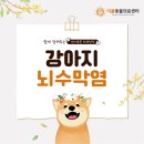 원주더봄동물의료센터 이미지