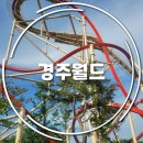 스콜 | 경주월드 새 놀이기구 스콜앤하티 속도 후기