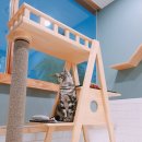 잔다냥 강동점 이미지