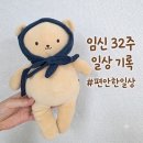빌농장 | 32주 0일 임신 후기 9개월 시작 (아기방 정리 못함, 내돈내산 유아용 소독 티슈)
