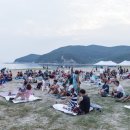 주섬주섬 헤럴드경제