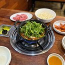 신천샤브칼국수 - 15243 | 잠실새내 <신천샤브칼국수> 얼큰 버섯 샤브샤브 칼국수 맛집