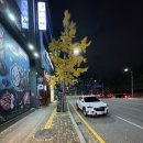 수완청연한방병원 | 광주 수완지구 붕어빵 말차, 피자, 초코, 불닭, 슈크림, 팥 전부 먹어봤어요