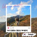 대구 단풍명소 팔공산케이블카 11월방문 보정 없는 솔직후기