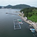 궁농오토캠핑장 | 거제 캠핑 + 낚시 가능한 장소 추천 &amp; 상세 정보